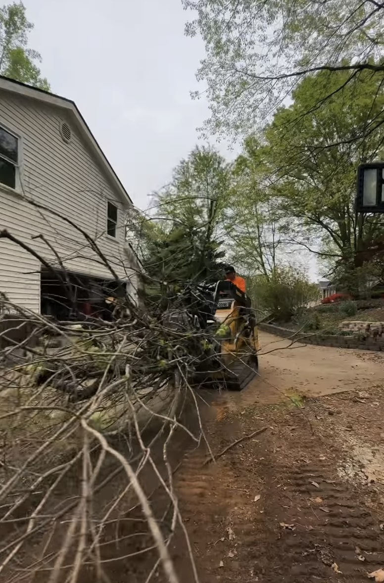 24/7 emergency tree service in Paterson, NJ