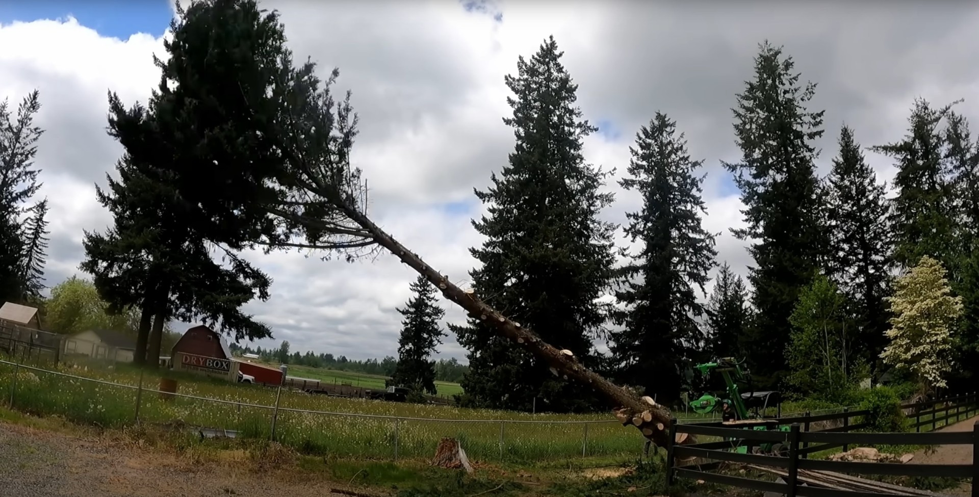 Expert tree removal with professional equipment and safety protocols Professional tree removal equipment in action showing fallen tree and specialized machinery