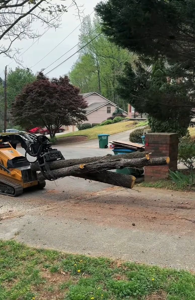 Residential tree service with minimal property disruption Tree removal equipment moving large tree sections in residential area