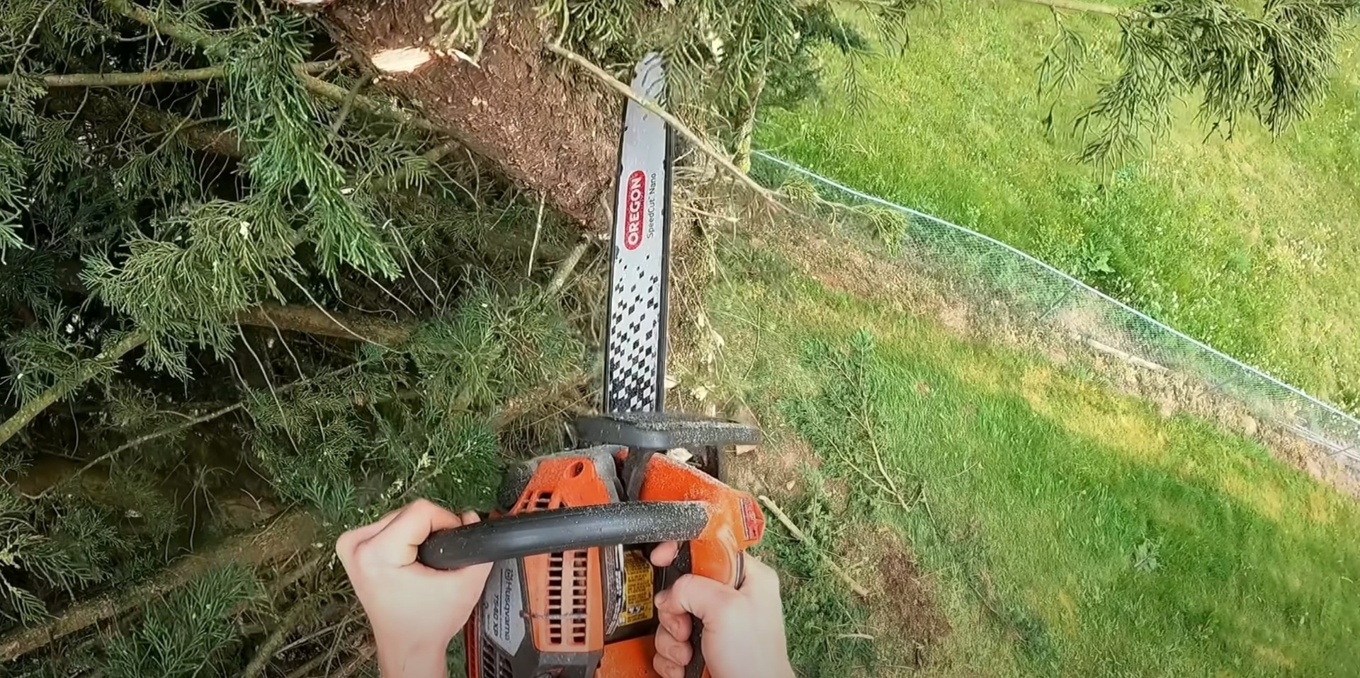 Professional tree cutting equipment and safety procedures Professional chainsaw being used for tree cutting showing proper safety equipment and technique